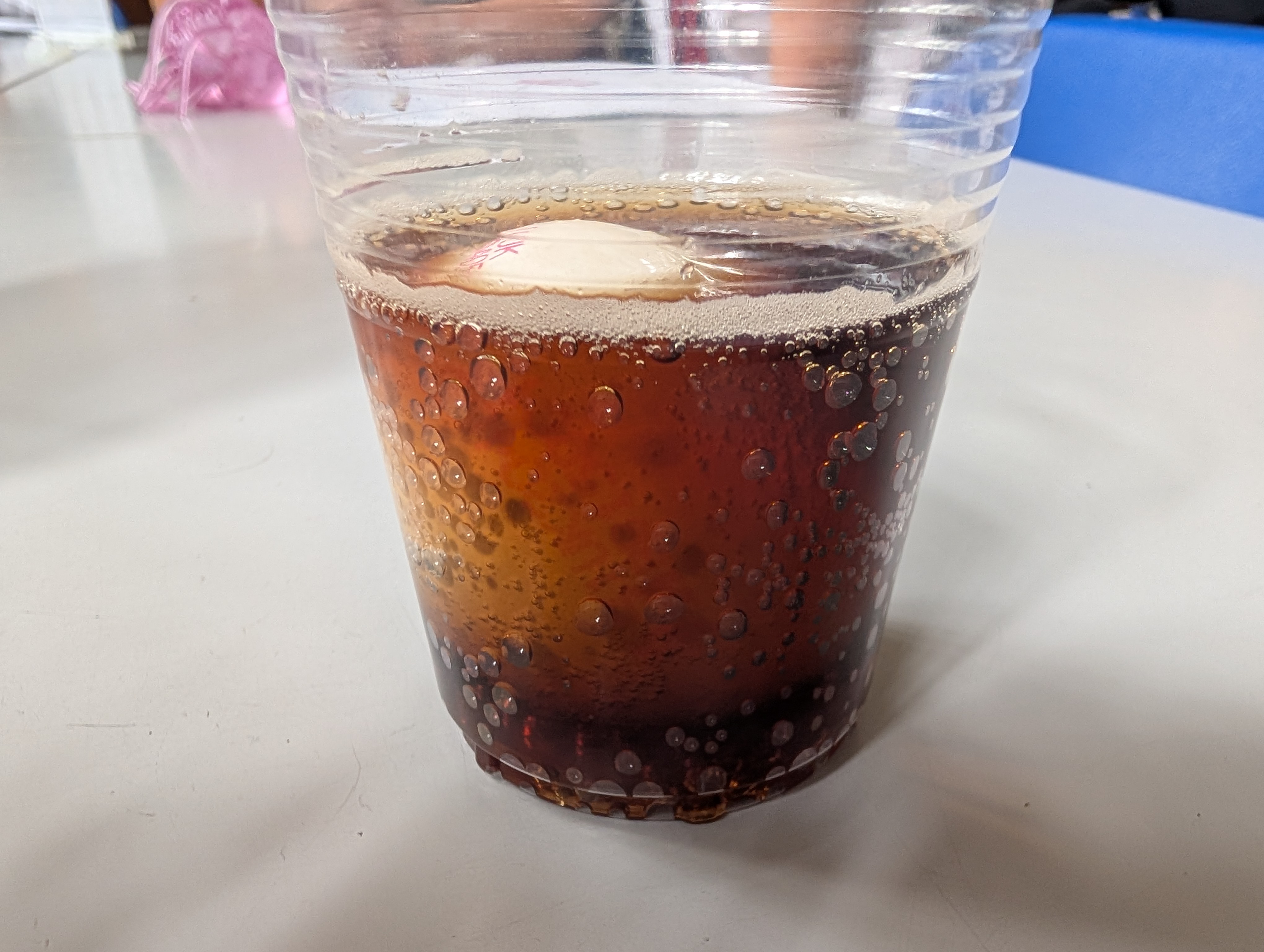 Year 4 science digestion experiment 8